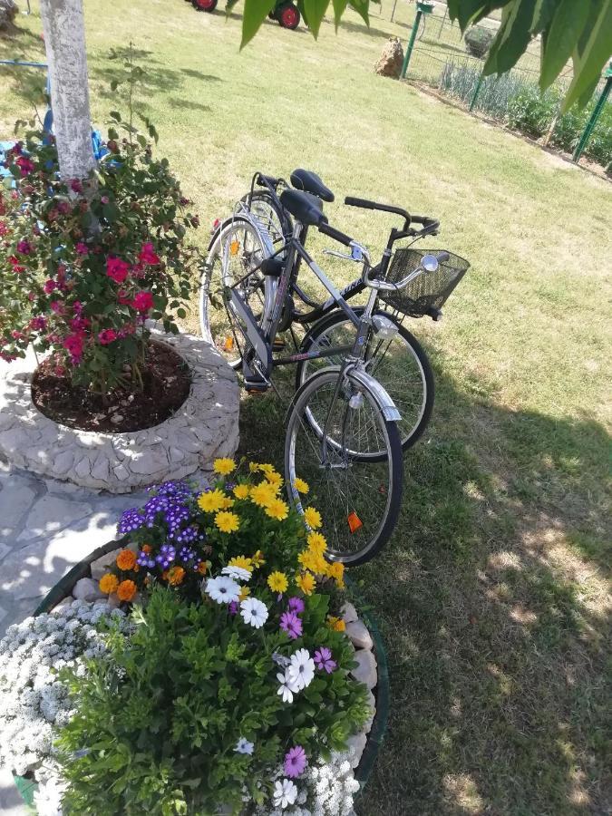 Nikini Dvori Villa Gradac  Bagian luar foto