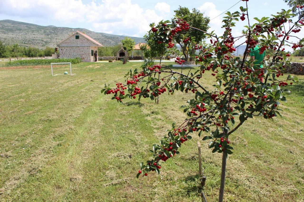 Nikini Dvori Villa Gradac  Bagian luar foto